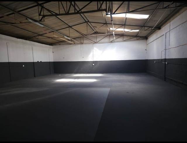 INDUSTRIAL PROPERTY TO RENT IN ELSIES RIVER INDUSTRIAL